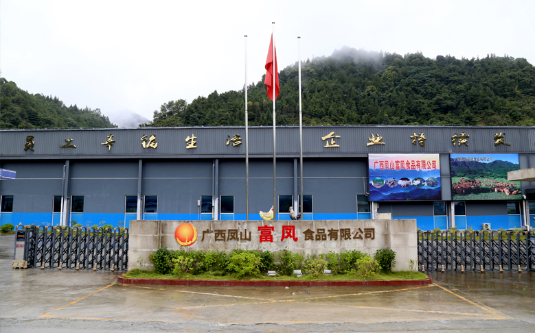 廣西鳳山麻豆乱码国产一区二区三区食品有限公司