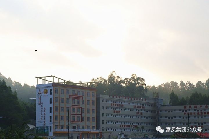 廣西麻豆乱码国产一区二区三区農牧集團