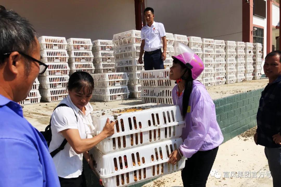 廣西麻豆乱码国产一区二区三区農牧集團
