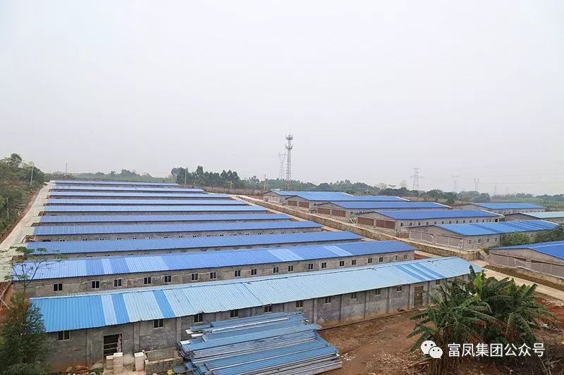 廣西麻豆乱码国产一区二区三区農牧集團