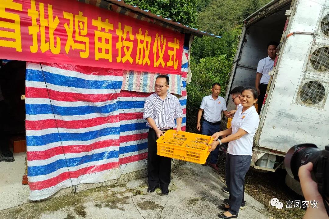 廣西麻豆乱码国产一区二区三区農牧集團