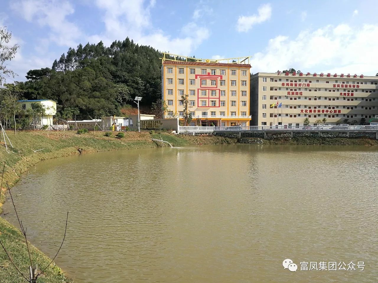 廣西麻豆乱码国产一区二区三区農牧集團