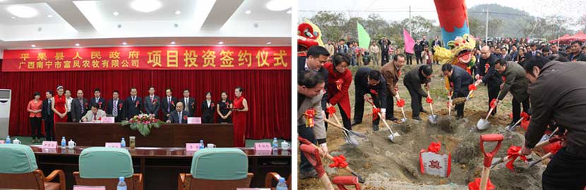廣西麻豆乱码国产一区二区三区農牧集團